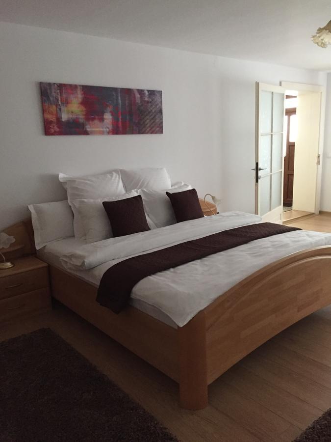 Xenopol Grand Studio Apartment Sibiu Exterior photo